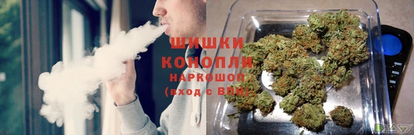 PSILOCYBIN Белоозёрский
