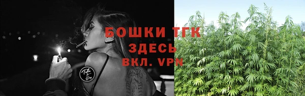 PSILOCYBIN Белоозёрский