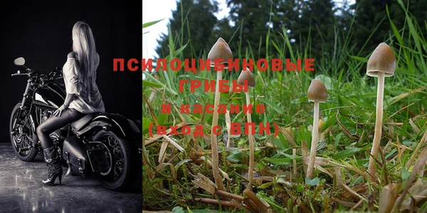 PSILOCYBIN Белоозёрский