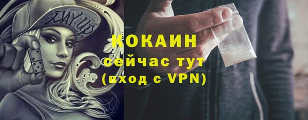 стаф Белокуриха