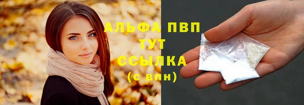 стаф Белокуриха