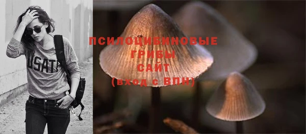 стаф Белокуриха