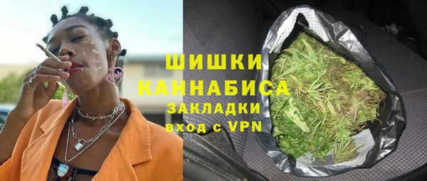 стаф Белокуриха