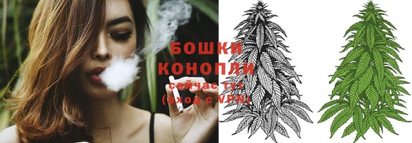 стаф Белокуриха