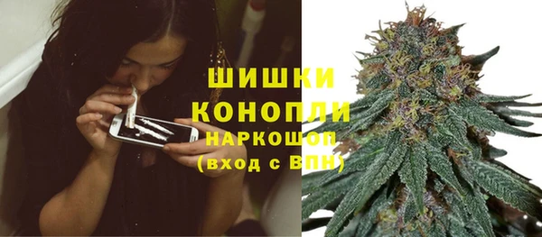 стаф Белокуриха